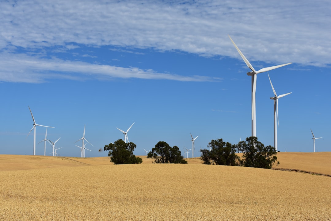 blog_1